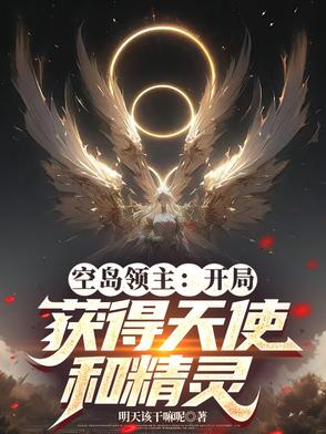 空岛领主开局获得天使和精灵