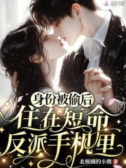 身份被偷后住在短命反派手机里
